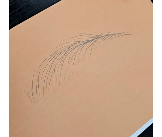 Advanced Machine Hair Stroke Masterclass HYPERREALISM Brows