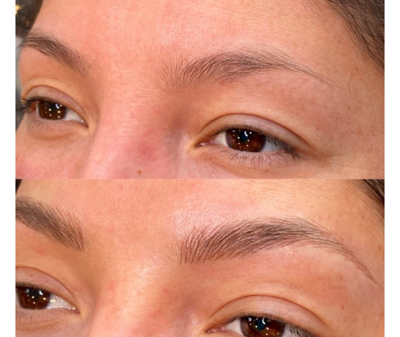 Eyebrow Microblading Basics course CALIFORNIA